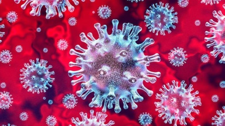 Covid-19 I Especialistas não descartam nova onda no Brasil