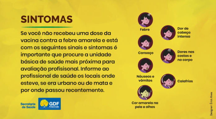 Após morte de macaco decorrente de febre amarela, GDF mobiliza estratégia