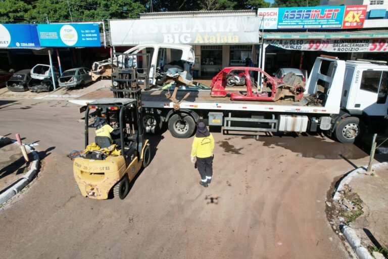 123 carcaças retiradas das ruas de Taguatinga em duas semanas