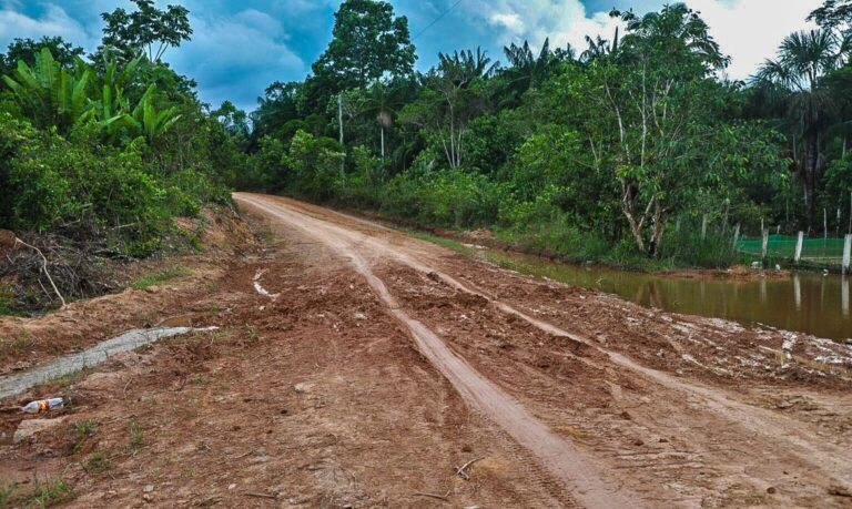 AGU consegue bloqueio de R$ 95,6 milhões de acusados por desmatamento