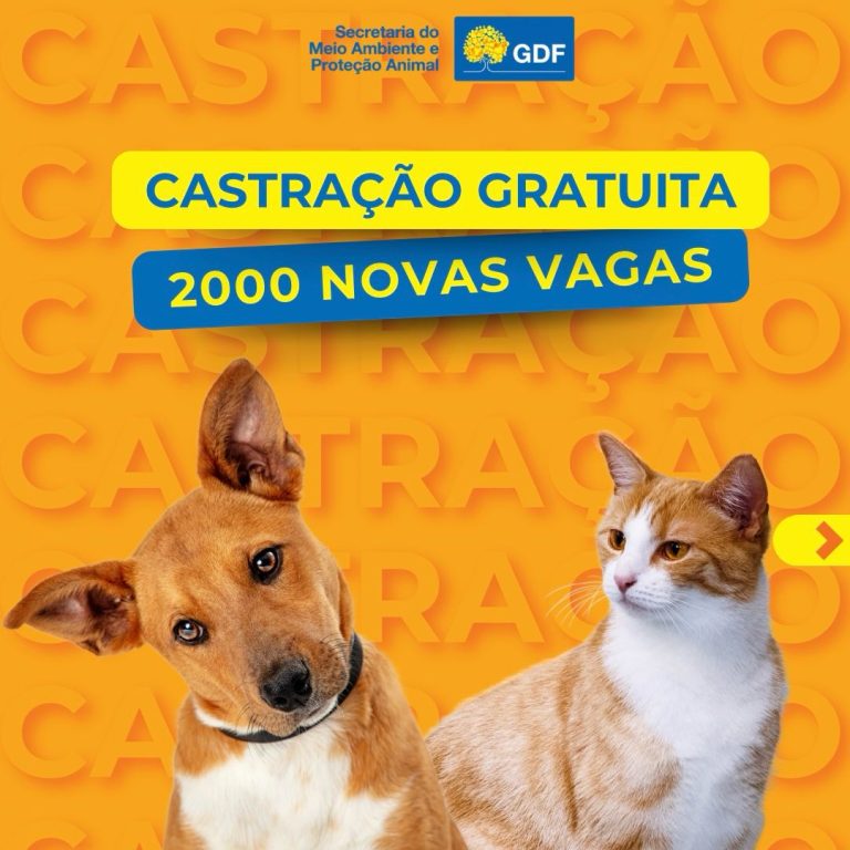 Campanha mensal de castração gratuita do GDF beneficiará 2 mil pets