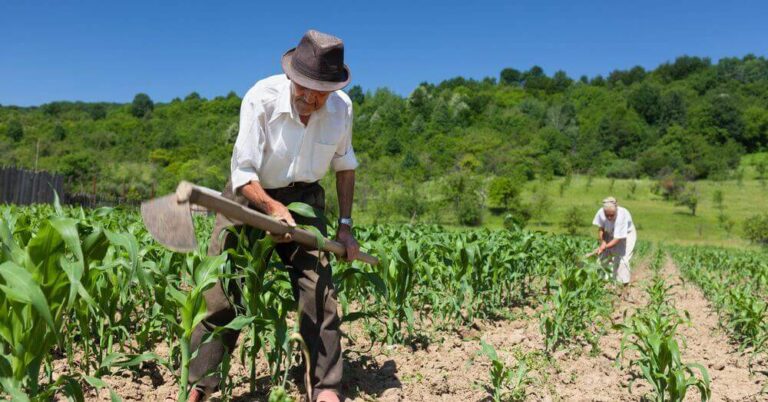 Centro-Oeste lidera concessões de crédito rural com R$ 15,7 milhões no 2º trimestre de 2024